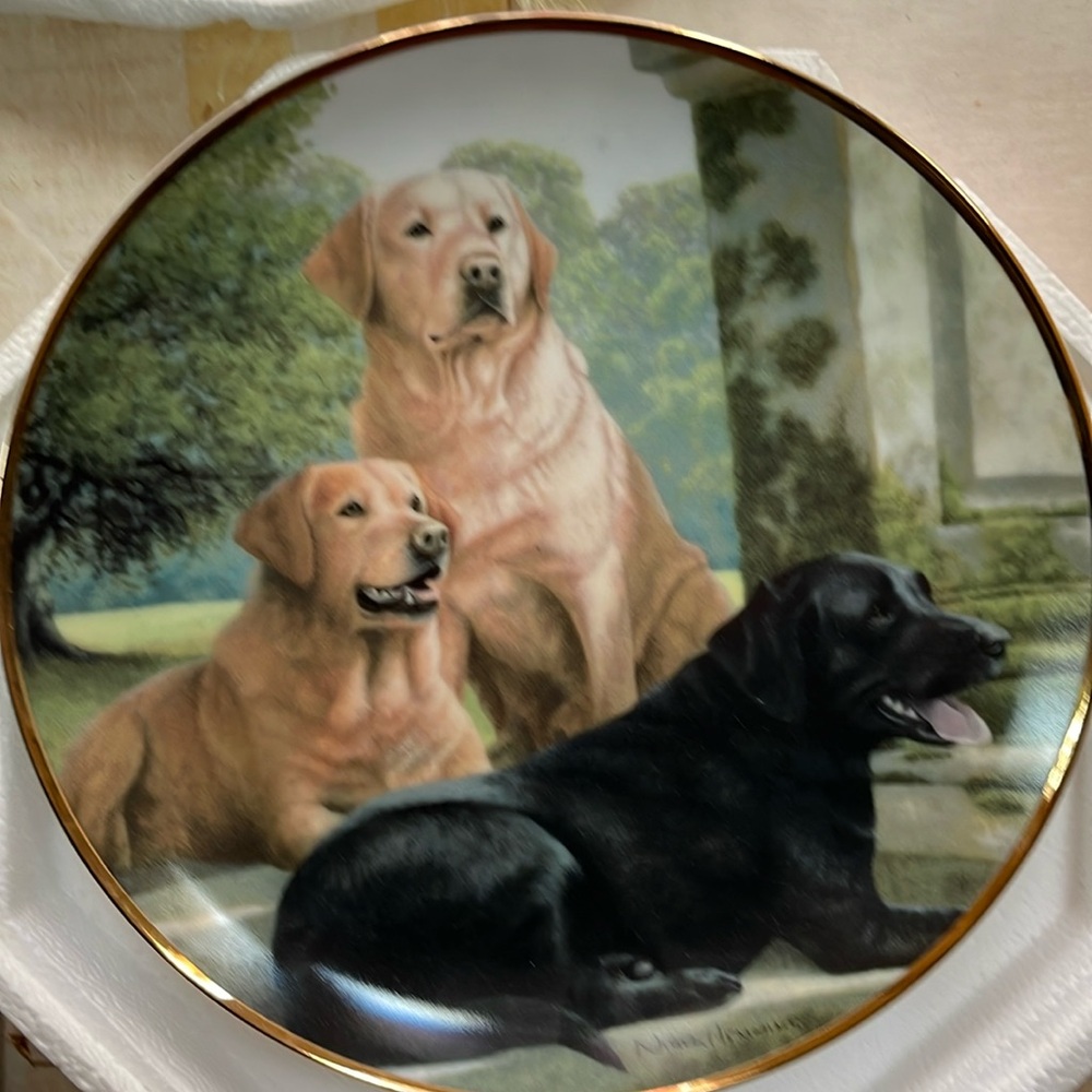 Franklin Mint Labrador retriever plate